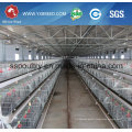 Fully Automatic Battery Chicken Broiler Cage